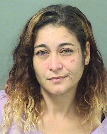  TINA MARIE GONZALEZHYDE Results from Palm Beach County Florida for  TINA MARIE GONZALEZHYDE