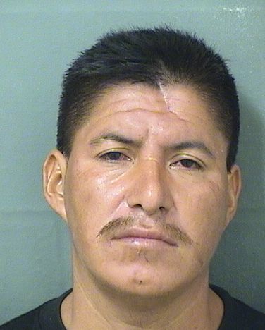  RAMIRO M PEDRO Results from Palm Beach County Florida for  RAMIRO M PEDRO