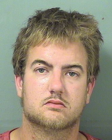  NATHAN JAMES MCNEW Results from Palm Beach County Florida for  NATHAN JAMES MCNEW
