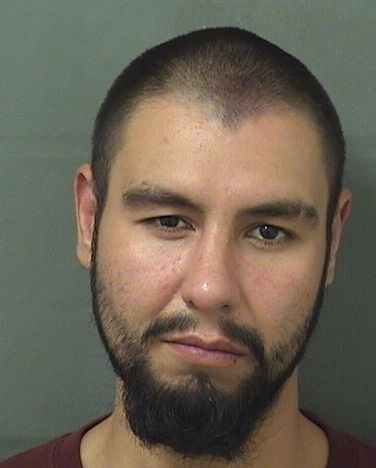  NICHOLAS WILLIAM GANOE Results from Palm Beach County Florida for  NICHOLAS WILLIAM GANOE