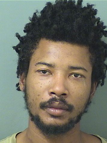  ANTHONY ANDERSON Results from Palm Beach County Florida for  ANTHONY ANDERSON