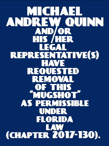  MICHAEL ANDREW QUINN Results from Palm Beach County Florida for  MICHAEL ANDREW QUINN