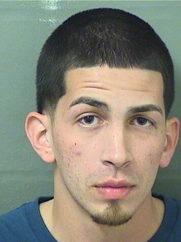  RAMON PINEIROREYES Results from Palm Beach County Florida for  RAMON PINEIROREYES