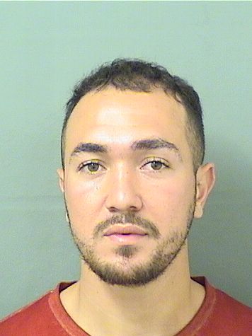  ABDELHAY DRISSI SMAILI Results from Palm Beach County Florida for  ABDELHAY DRISSI SMAILI
