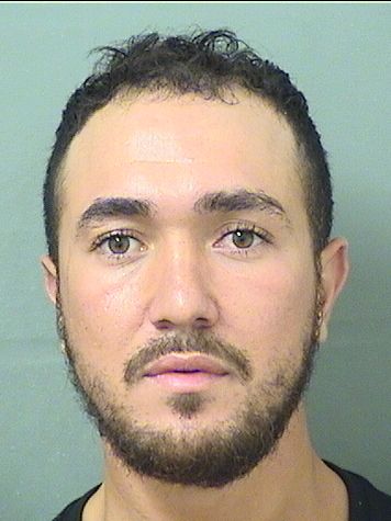  ABDELHAY DRISSISMAILI Results from Palm Beach County Florida for  ABDELHAY DRISSISMAILI