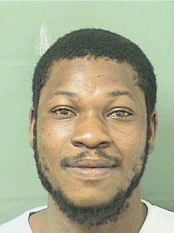  DAMION BRYAN Results from Palm Beach County Florida for  DAMION BRYAN