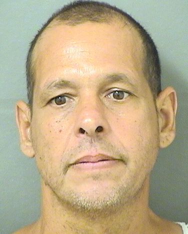  LOUIS ANTHONY APUZZO Results from Palm Beach County Florida for  LOUIS ANTHONY APUZZO