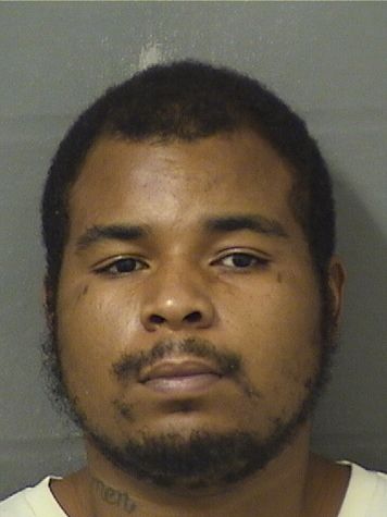  COREY CORNEL J NORFUS Results from Palm Beach County Florida for  COREY CORNEL J NORFUS