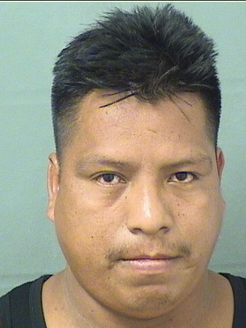  MIGUEL MARTIN PASCUAL Results from Palm Beach County Florida for  MIGUEL MARTIN PASCUAL