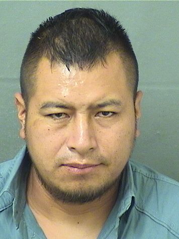 SANTOS EULALIO GOMEZ VASQUEZ Results from Palm Beach County Florida for SANTOS EULALIO GOMEZ VASQUEZ SANTOS EULALIO GOMEZ VASQUEZ Results from Palm Beach County Florida for SANTOS EULALIO GOMEZ VASQUEZ
