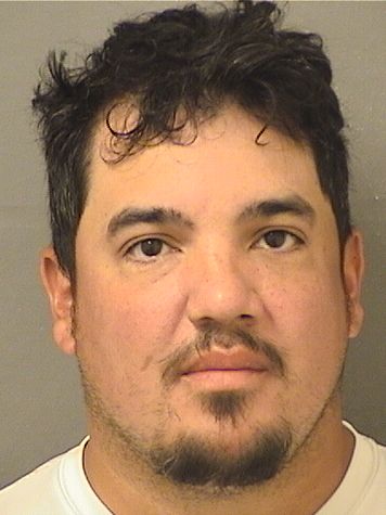  CHRISTOPHER SANCHEZ Results from Palm Beach County Florida for  CHRISTOPHER SANCHEZ