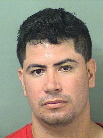  MOISE DELSOLAR Photo