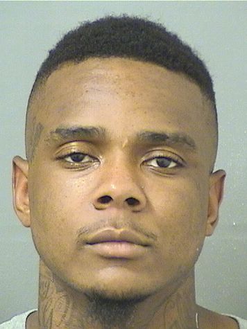  NIKOBRA GRENARD STRINGER Results from Palm Beach County Florida for  NIKOBRA GRENARD STRINGER