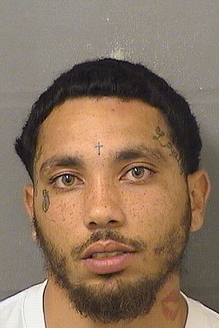 CHRISTIAN LUIS CORREA Results from Palm Beach County Florida for  CHRISTIAN LUIS CORREA
