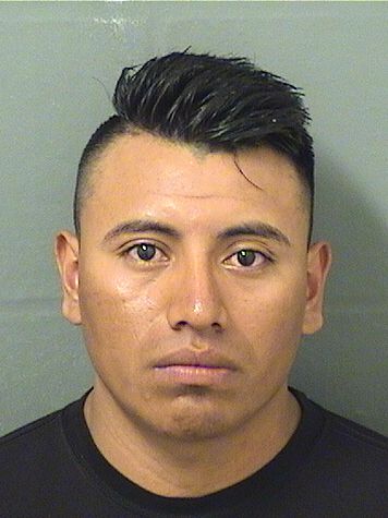  TOMAS ZACARIAS Photo For  TOMAS ZACARIAS