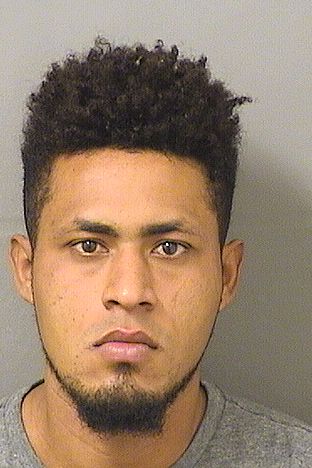  ARIEL G SUAZO Results from Palm Beach County Florida for  ARIEL G SUAZO