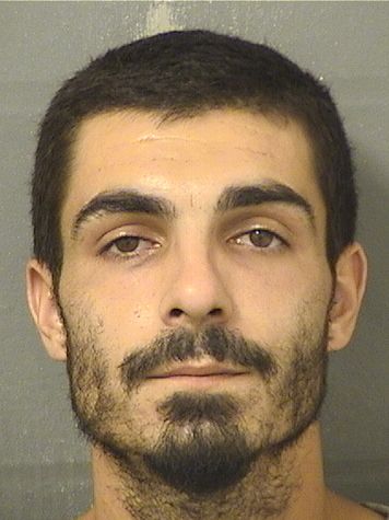  LOUIS SALVATORE III BACCARI Results from Palm Beach County Florida for  LOUIS SALVATORE III BACCARI