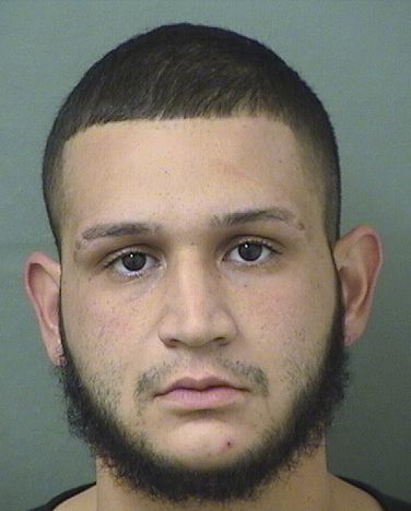  JERRY JOEL ROMAN Results from Palm Beach County Florida for  JERRY JOEL ROMAN