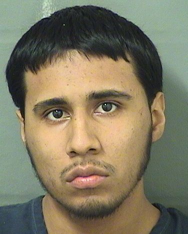  ANTHONY ALEXANDER MENDOZA Results from Palm Beach County Florida for  ANTHONY ALEXANDER MENDOZA