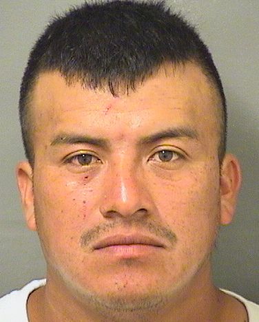  ALEXANDER CASTILLOALFARO Photo