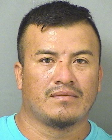  ALEXANDER CASTILLOALFARO Photo For  ALEXANDER CASTILLOALFARO