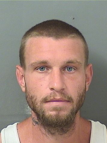  DANNY ALAN Jr HOGGARD Results from Palm Beach County Florida for  DANNY ALAN Jr HOGGARD