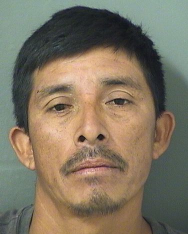  JOSE A RAMIREZSAMAYOA Results from Palm Beach County Florida for  JOSE A RAMIREZSAMAYOA