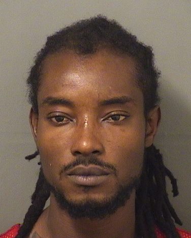  JAMES CINE Results from Palm Beach County Florida for  JAMES CINE