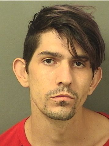  CHRISTOPHER LEE HICKMAN Results from Palm Beach County Florida for  CHRISTOPHER LEE HICKMAN