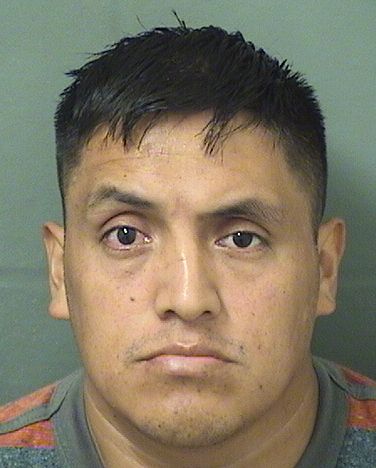  CESAR ANIBAL GARCIAMATUL Resultados de la busqueda para Palm Beach County Florida para  CESAR ANIBAL GARCIAMATUL