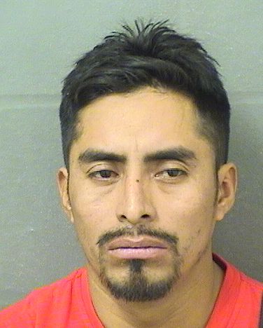  GUSTAVO ADOLFO SANCHEZDIAZ Photo For  GUSTAVO ADOLFO SANCHEZDIAZ