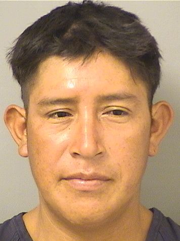  JUAN CARLOS MEJIA Photo For  JUAN CARLOS MEJIA