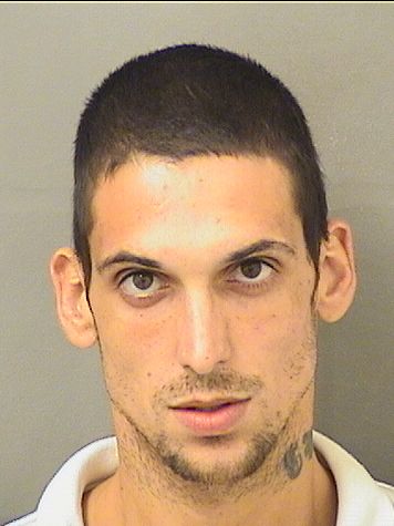  CHRISTOPHER MICHAEL HERNANDEZ Results from Palm Beach County Florida for  CHRISTOPHER MICHAEL HERNANDEZ