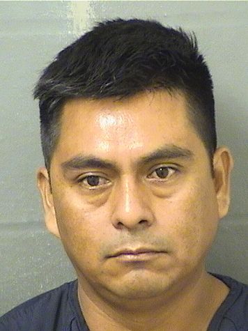 SILVESRE RUIZGARCIA Results from Palm Beach County Florida for  SILVESRE RUIZGARCIA