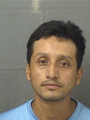  DARVIN MENDEZRIVADENEIRA Resultados de la busqueda para Palm Beach County Florida para  DARVIN MENDEZRIVADENEIRA