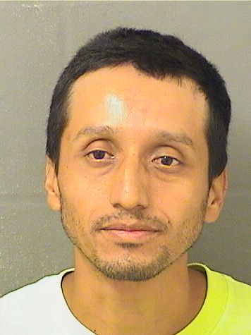  DARVIN OBED MENDEZRIVADENEIRA Results from Palm Beach County Florida for  DARVIN OBED MENDEZRIVADENEIRA