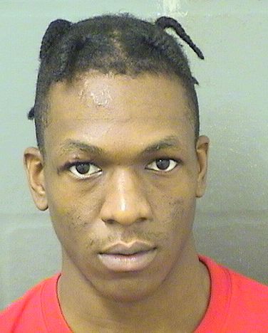  WILLNIQUE STHILAIRE Results from Palm Beach County Florida for  WILLNIQUE STHILAIRE