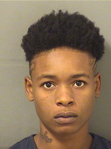  LIANE M GIBSON Results from Palm Beach County Florida for  LIANE M GIBSON