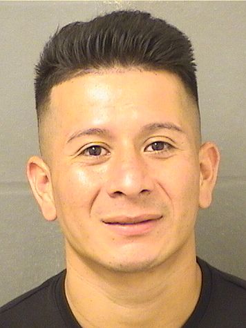  JESUS DAVID MATEODIAZ Resultados de la busqueda para Palm Beach County Florida para  JESUS DAVID MATEODIAZ