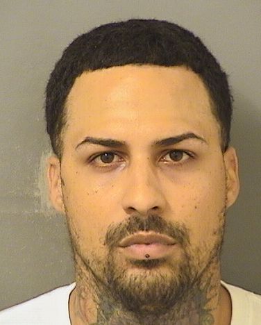  RAYMOND JOEL ROJAS Resultados de la busqueda para Palm Beach County Florida para  RAYMOND JOEL ROJAS