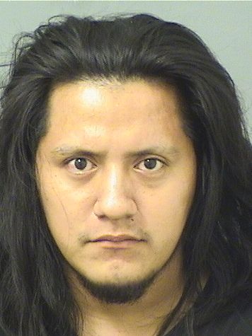  MARCELO GABRIEL Results from Palm Beach County Florida for  MARCELO GABRIEL
