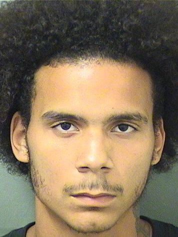  DAVID GIOVANY VAZQUEZ Results from Palm Beach County Florida for  DAVID GIOVANY VAZQUEZ