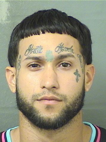  GERALDO LUIS VASQUEZ Results from Palm Beach County Florida for  GERALDO LUIS VASQUEZ