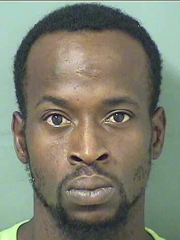  NELSONNE ALEZIE Results from Palm Beach County Florida for  NELSONNE ALEZIE