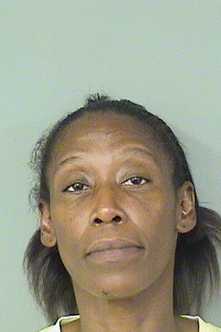  JENNIFER LAROSE MITCHELL Results from Palm Beach County Florida for  JENNIFER LAROSE MITCHELL