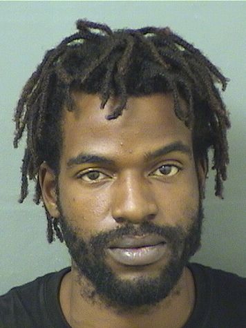  NICHOLSON HIPPOLYTE Results from Palm Beach County Florida for  NICHOLSON HIPPOLYTE