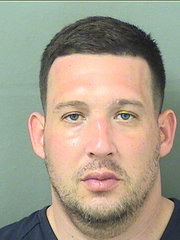  BRIAN MATTHEW HANNAN Results from Palm Beach County Florida for  BRIAN MATTHEW HANNAN