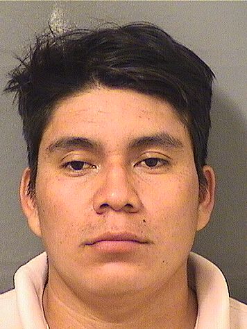  MAXIMO AGUSTIN RAMIREZ Results from Palm Beach County Florida for  MAXIMO AGUSTIN RAMIREZ