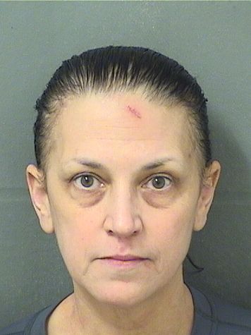  DARLENE M SPAGNOLA Results from Palm Beach County Florida for  DARLENE M SPAGNOLA