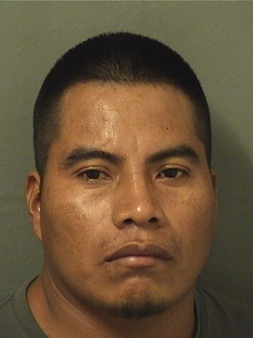  ALEJANDRO LOPEZPATISHTAN Results from Palm Beach County Florida for  ALEJANDRO LOPEZPATISHTAN